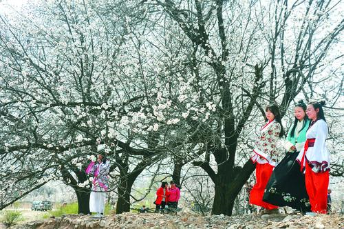 电子游艺平台主视觉